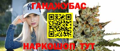 альфа пвп Новодвинск