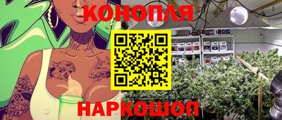 герыч Новокубанск