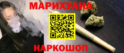 мдпв Новозыбков